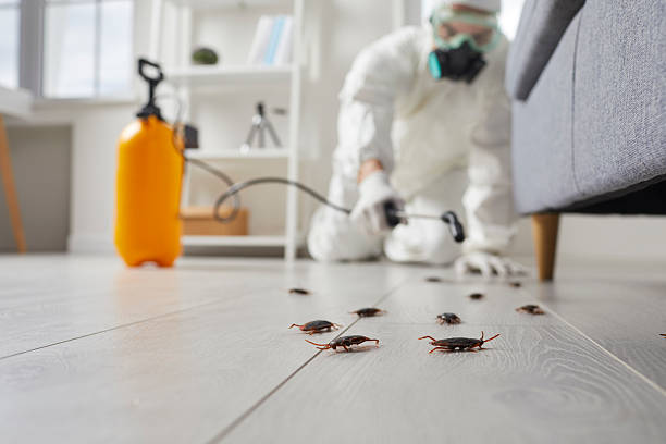 Post-Treatment Bed Bug Interceptor Monitoring in Putnam Lake