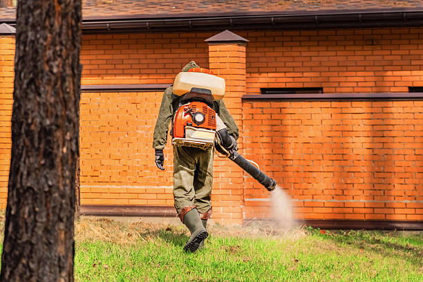 Bed Bug Clearance Verification and Documentation in Putnam Lake